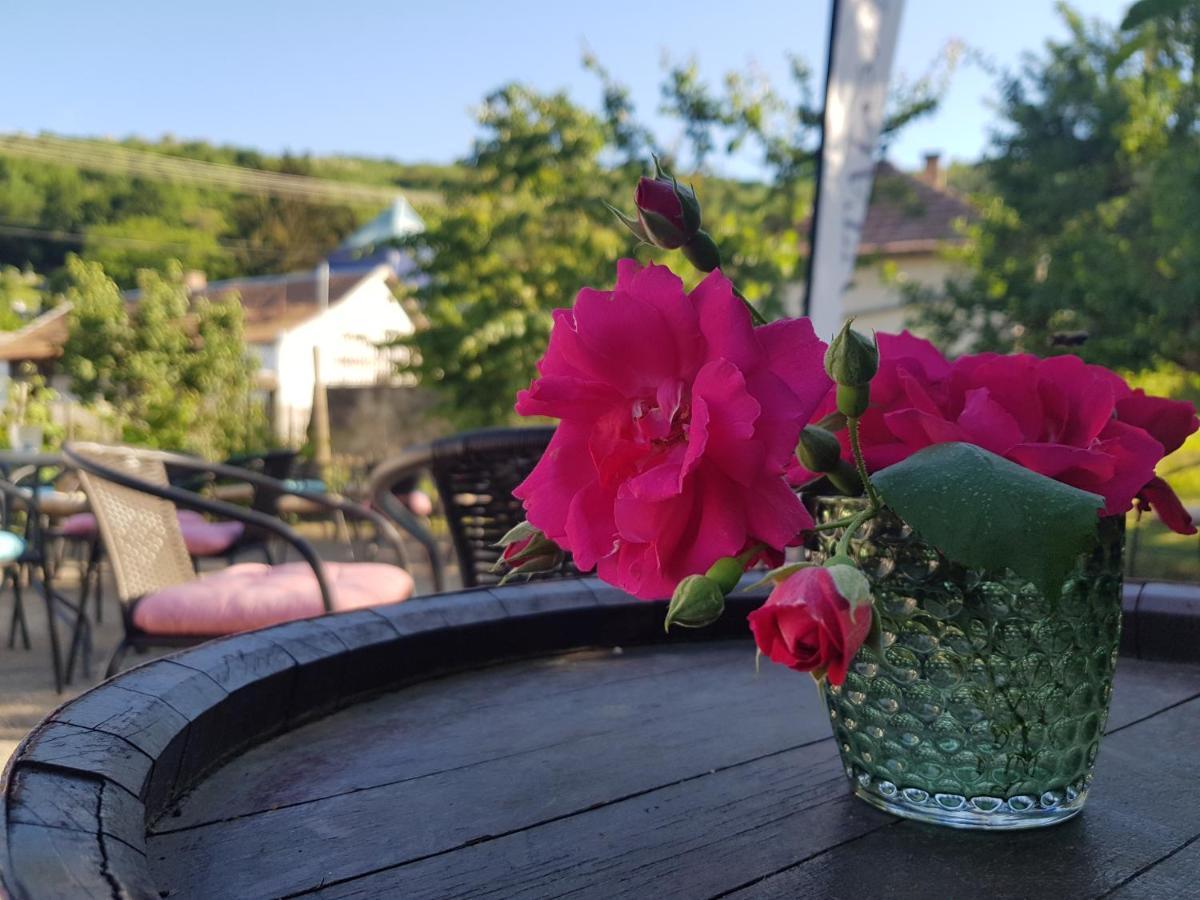 Antaloczy Cottage Tokaj Bagian luar foto
